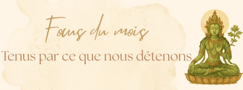 Focus du mois 