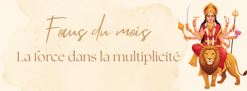 Focus du mois